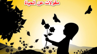 مقولات عن الحياة