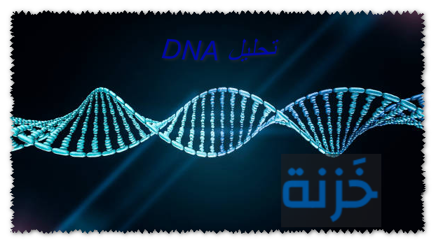 تحليل DNA