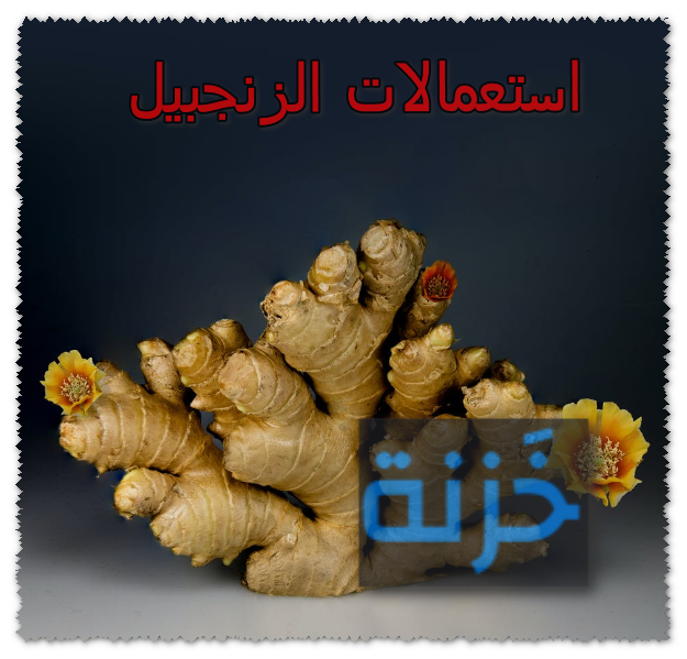 استعمالات الزنجبيل