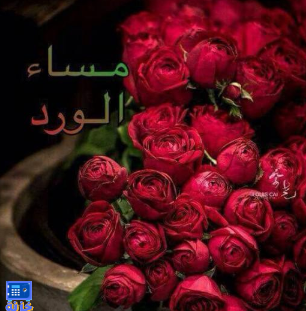 أزهار حمراء