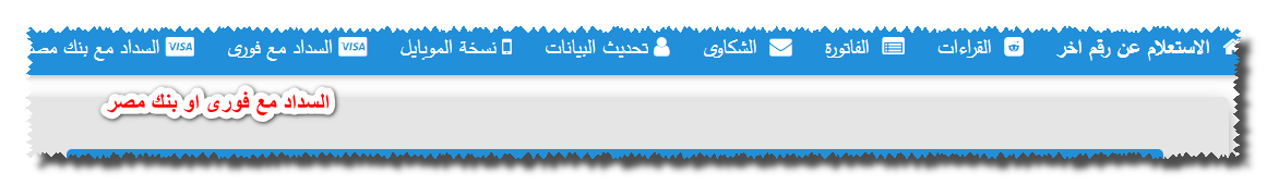 السداد مع فوري او بنك مصر